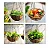 Vaso Pendurar Com Pendente De Ferro Decoração Fibra Coco 25cm Vaso Para Colocar Plantinhas - Imagem 3