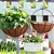 Meio Vaso 25cm Parede De Ferro Com Fibra Coco Jardim Flores - Imagem 11