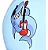 Touca de Tecido Speedo Azul/Tubarão Infantil - Imagem 2