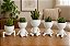 Kit 4 Vasos Roberts Plantas Suculentas Divertido Decorativo Este produto está indisponível. Por favor, - Imagem 2