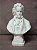 BUSTO DE BETHOVEN - 0062 - Imagem 1