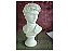 BUSTO DE DAVID GRANDE - 0922 - Imagem 1