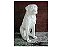 CACHORRO ROTTWEILER - 0900 - Imagem 1