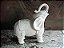 ELEFANTE BEBÊ MÉDIO - 1068 - Imagem 1