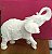 ELEFANTE TROPICAL - 1162 - Imagem 1