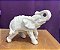ELEFANTE MANTO PEQUENO 16CM - 1179 - Imagem 1