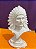 BUSTO DE INDIO 25CM - 2435 - Imagem 1