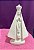 NOSSA SENHORA APARECIDA LISA 22CM - 2463 - Imagem 1