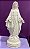 NOSSA SENHORA DAS GRAÇAS 51CM - 2612 - Imagem 1