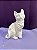 GATO ANGORA - 2629 - Imagem 1