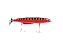 ISCA - LUCKY ROCKET - Imagem 5