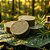 Argila Verde & Melaleuca - Imagem 1