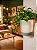 Vaso para plantas com suporte para parede - Imagem 2
