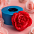Molde de Silicone Rosa G para Artesanato - Imagem 1