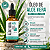 Óleo vegetal de Aloe Vera - Imagem 2