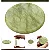 PEDRA JADE PARA EXTENSAO DE CILIOS - Imagem 1