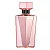 Animale Seduction Femme Eau de Parfum Feminino - Imagem 1