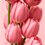 Body Splash Hidden Flowers - Skelt - Imagem 4