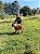 Gold da Vinha - Imagem 3