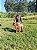 Vitor da Vinha - Imagem 1