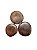 Fava De Alibe- Unidade - Imagem 3