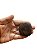 Fava De Alibe- Unidade - Imagem 2