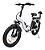 Bicicleta Elétrica Cargo YL-06 - Imagem 1