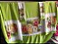 Kit Casal Colcha e Cortina Pintada Floral em Oxford com Fronhas - Imagem 7