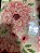 Cortina Rustica para Sala Estampada 3m Floral - Imagem 2