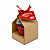 AL014 - Kit Cestinha Kraft com Sementes de Flores - Imagem 5