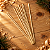 Varetas para difusor - Pinus - 6 unidades - Imagem 3