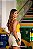 Regata Brasil - Imagem 2