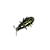 Isca Soft - VRoach - Imagem 5