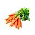 Cenoura - Imagem 1
