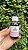 Fitoblend Relief - Imagem 1