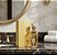 AL WATANIAH - AMEERATI GOLD - Imagem 9