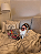 Capa de almofada Sleepy Club - Imagem 2