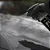 Spell 2.0 Glass Coating Selante sem Toque Vonixx 500ml - Imagem 6