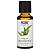 Óleo Essencial Eucalyptus (Eucaliptus) 30 ml - 100% Puro - Imagem 1