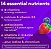 Multivitamínico feminino, Vitaminas Diárias A, C, D, E, B-6 e B-12, 150 Gomas, Vitafusion - Imagem 3