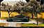 Tarmac Works - Koenigsegg Gemera Graffiti - Imagem 3