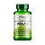 BERINJELA 600 mg 60 CAPS (COM VITAMINA B2)  FITOPLANT - Imagem 1
