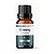 EXTRATO DE GINSENG EM GOTAS 30ML - Imagem 1