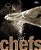 As Chefs - Imagem 1
