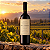 Kit Com 6 Garrafas — Vinho DV Catena Malbec-Malbec 750ml - Imagem 5