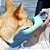 Garrafa Bebedouro Pet 350ml Com Alça Cães Gatos - Cores Azul - Imagem 2