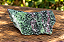 Rubi em Zoisita Natural (Anyolita) - Imagem 2