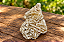 Rosa do Deserto Natural - Imagem 4