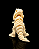 T-REX - Imagem 6