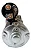 Motor De Partida Fiat Uno, Fiorino, Fiasa 1.0 E 1.5 12v 11d - Imagem 6